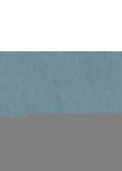 Линолеум Tarkett VENETO xf²™ (3.2 mm) - Veneto PERIWINKLE 761