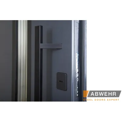 Вхідні Двері NEW COTTAGE З МЕТАЛОМ LAMPRE (KT(N)) (LP-5 Queen) Abwehr-9