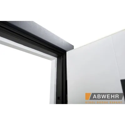 Входные Двери TERMIX (с терморазрывом) Revolution (LP-6) Abwehr-3