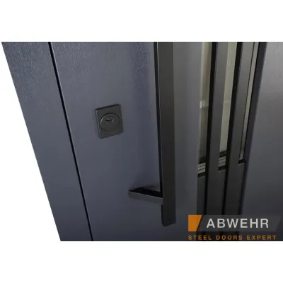 Входные Двери TERMIX (с терморазрывом) Revolution (LP-6) Abwehr-4