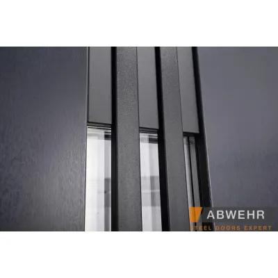 Входные Двери TERMIX (с терморазрывом) Revolution (LP-6) Abwehr-5