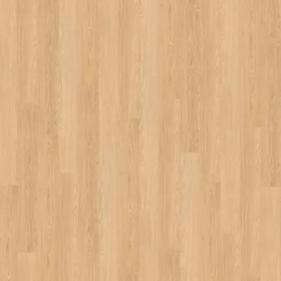 Виниловый пол Wineo 600 DB Wood NaturalPlace (DB183W6)-0