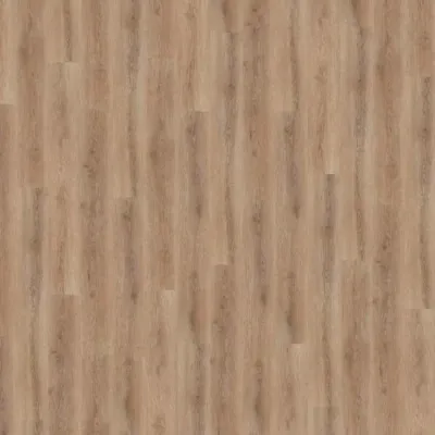 Виниловый пол Wineo 600 DB Wood SmoothPlace (DB185W6)-0