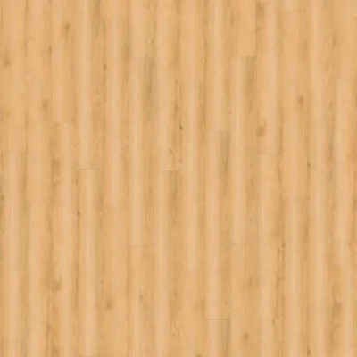 Виниловый пол Wineo 800 DLC Wood Wheat Golden Oak (DLC00080)-0