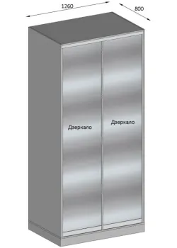 Вариант Шкафа-купе №48 15.01.2026