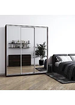 Мебель Шкаф-купе Виват B-244