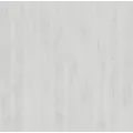 Gloria