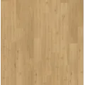 Dry Back Wood