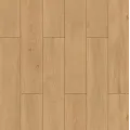 Wings 4V WR