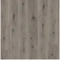 TrendTime 5