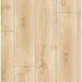 Terra