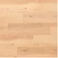 Legnar Ultra