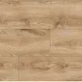 Classic Plank