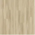 Solida Acoustic