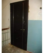 Входные Двери Параллель Стандарт венге темный "Страж"