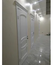 Межкомнатные Двери Terminus Caro 50 ПГ Шпон Межкомнатные Двери Terminus Caro 50 ПГ Шпон