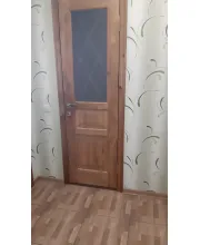 Міжкімнатні Двері Rodos Woodmix Praktic Напівскло Дерево