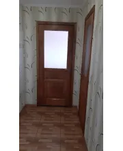 Міжкімнатні Двері Rodos Woodmix Praktic Напівскло Дерево