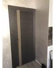 Міжкімнатні Двері Dooris Glass Wood GW04 Шпон