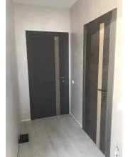 Міжкімнатні Двері Dooris Glass Wood GW04 Шпон