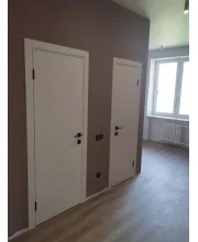 Міжкімнатні Двері ГРАНД Paint 1 Фарба