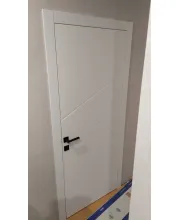 Міжкімнатні Двері Dooris Art Graffiti G21 Фарба