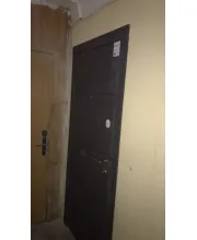 Входные Двери Грация 2 цвета Qdoors