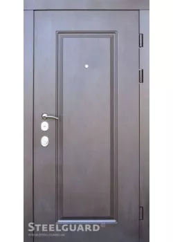 Двері DP-1 двокольорові Steelguard