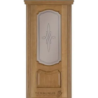 Двери Terminus Caro 41 даймон ПО-0