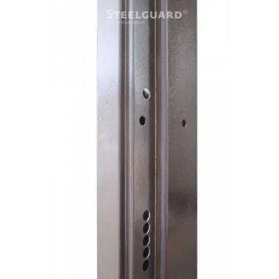 Входные Двери Manhattan Steelguard-1