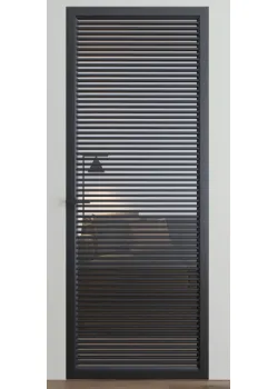 Двері Dooris Glass DG10