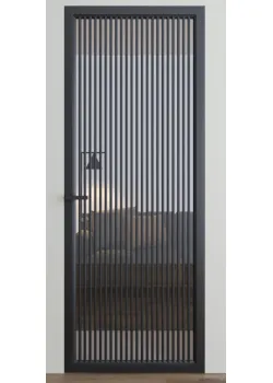 Двері Dooris Glass DG11