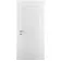 Міжкімнатні Двері Dooris Prima P06 Фарба-3-thumb