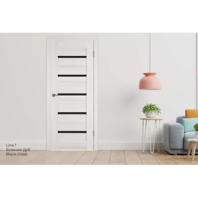 Міжкімнатні Двері Hygge Line 1 Чорне скло Краска-1