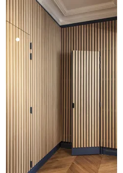 Двері RockWood Design з рейками Rail 1
