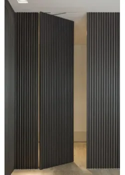 Двері RockWood Design з рейками Rail 2