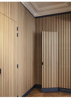 Двери RockWood Design с рейками Rail 6