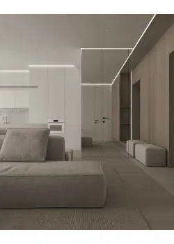 Двері RockWood Design Reflex Line З дзеркалом