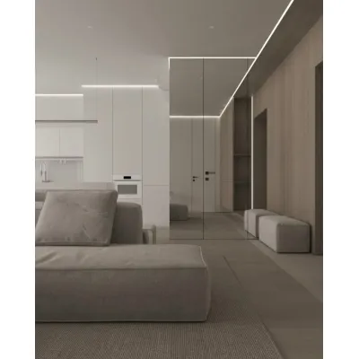 Межкомнатные Двери RockWood Design Reflex Line С зеркалом Стеклянные-0