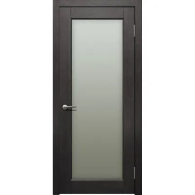 Двері Status Trend Premium TP-012-S01-6