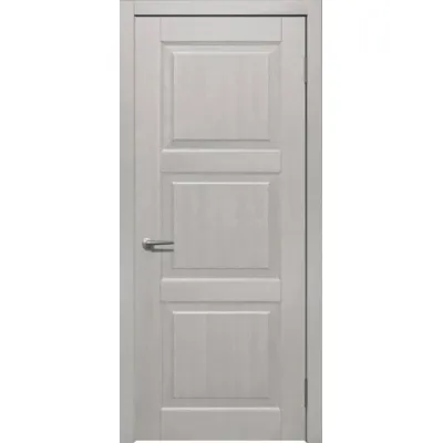 Двері Status Trend Premium TP-021-3