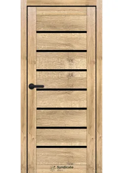 Двери Syndicate Doors SD-ECOTOP-102 Черное стекло