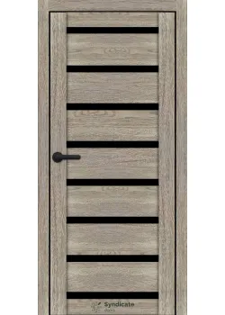 Двери Syndicate Doors SD-ECOTOP-103 Черное стекло