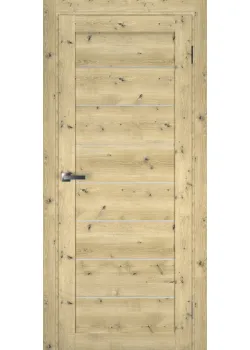 Двері Terminus Ukrainian Doors UD-1
