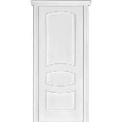 Межкомнатные Двери Terminus Caro 50 ПГ Шпон-2