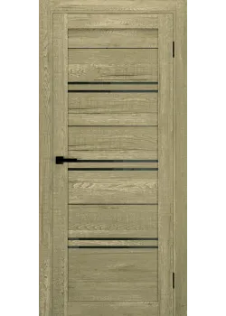 Двері Terminus Ukrainian Doors UD-11 Чорне скло