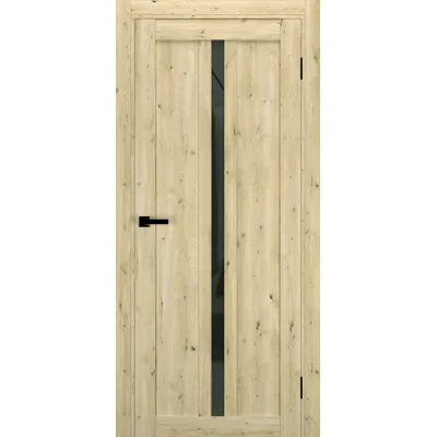 Міжкімнатні Двері Terminus Ukrainian Doors UD-19 Чорне скло Ламінатин-2