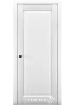Двері Terminus Synchro 605 ПГ