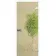 Межкомнатные Двери WakeWood All-glass 02 Стеклянные-9-thumb