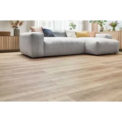 Виниловый SPC Ламинат Arbiton WOODRIC DRYBACK Дуб Тимберсленд DW 185-1